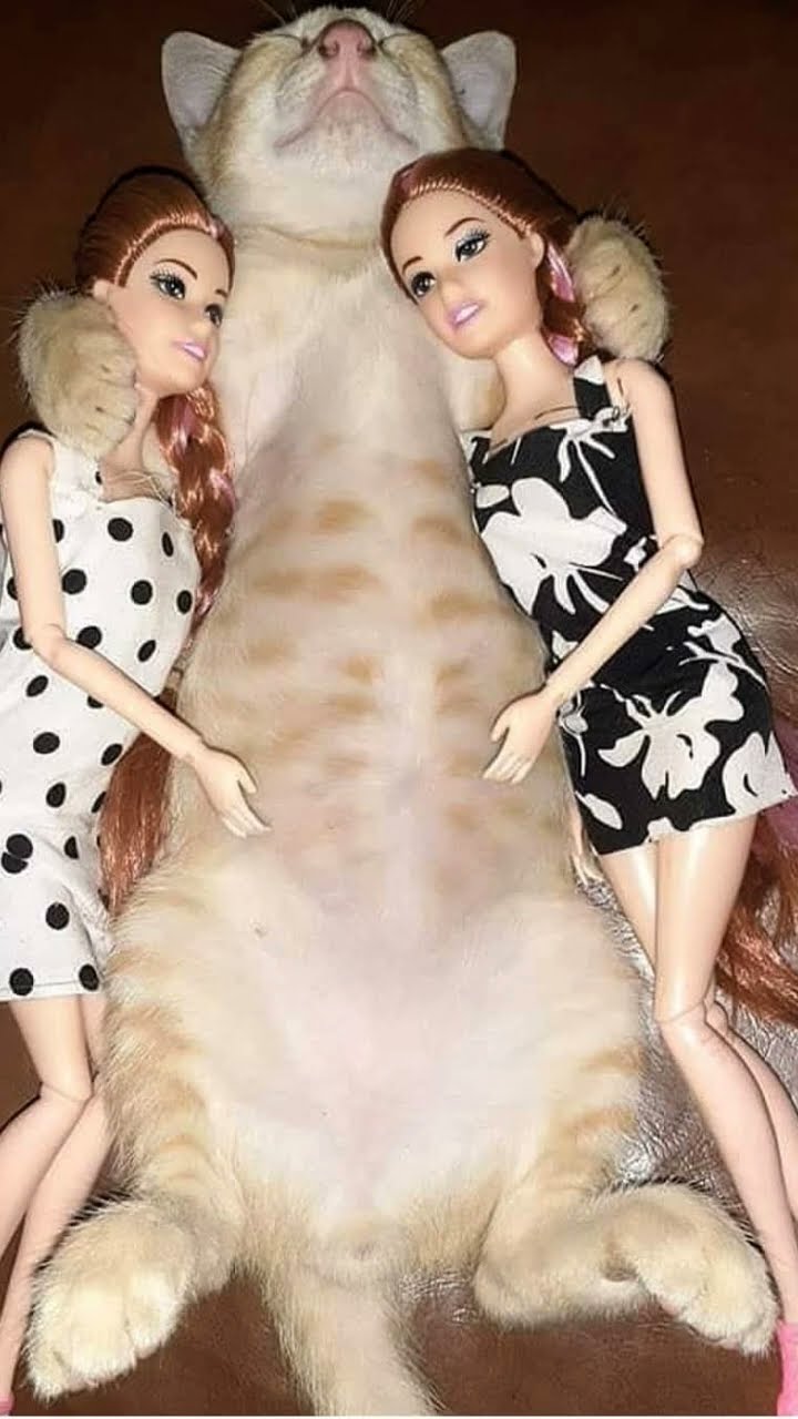 ?????