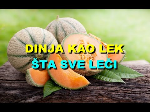 DINJA KAO LEK - ŠTA SVE LEČI