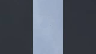 270 Metre Dönen Dönek Güvercin (Sizden Gelenler)