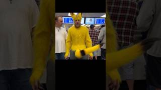 That's not a tail #mandelaeffect  #shorts
