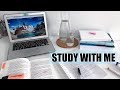 NEED TO STUDY? Study With Me for 50 Minutes!