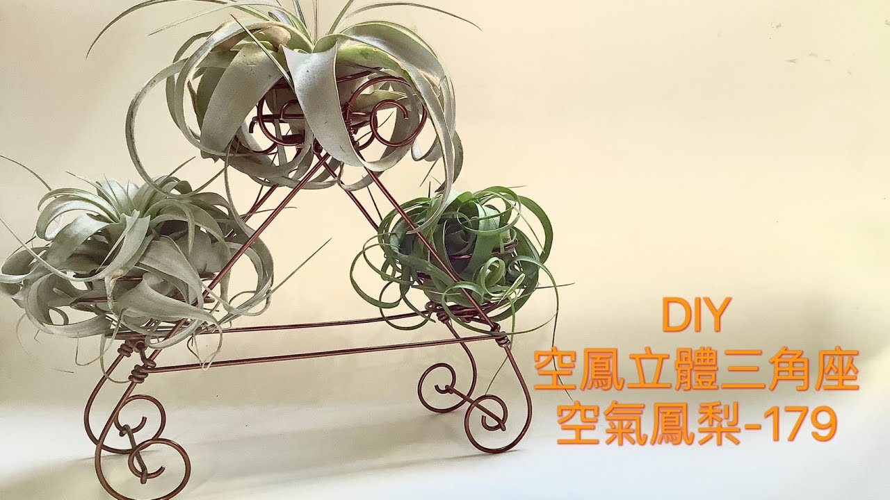 DIY wire 教你如何使用彩色鋁線製作空氣鳳梨  空鳳立體三角座 How to make Aluminum wire Air plant flowerstand