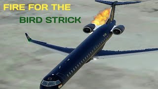 Fire On Engine For The Bird Strick || Real Flight Simulator Game