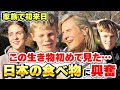 「母国に持ち帰れたらいいのに…！」日本の食べ物に感動する外国人観光客【外国人インタビュー】
