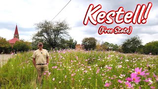 S1 - Ep 471 - Kestell, Free State!