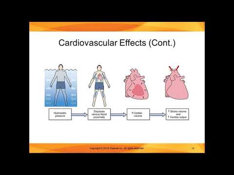 ভিডিও: মুক্তা স্নান, ইঙ্গিত এবং contraindications