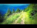После просмотра этого видео вы захотите посетить горы Карпат! 1 минута 20 сек.!