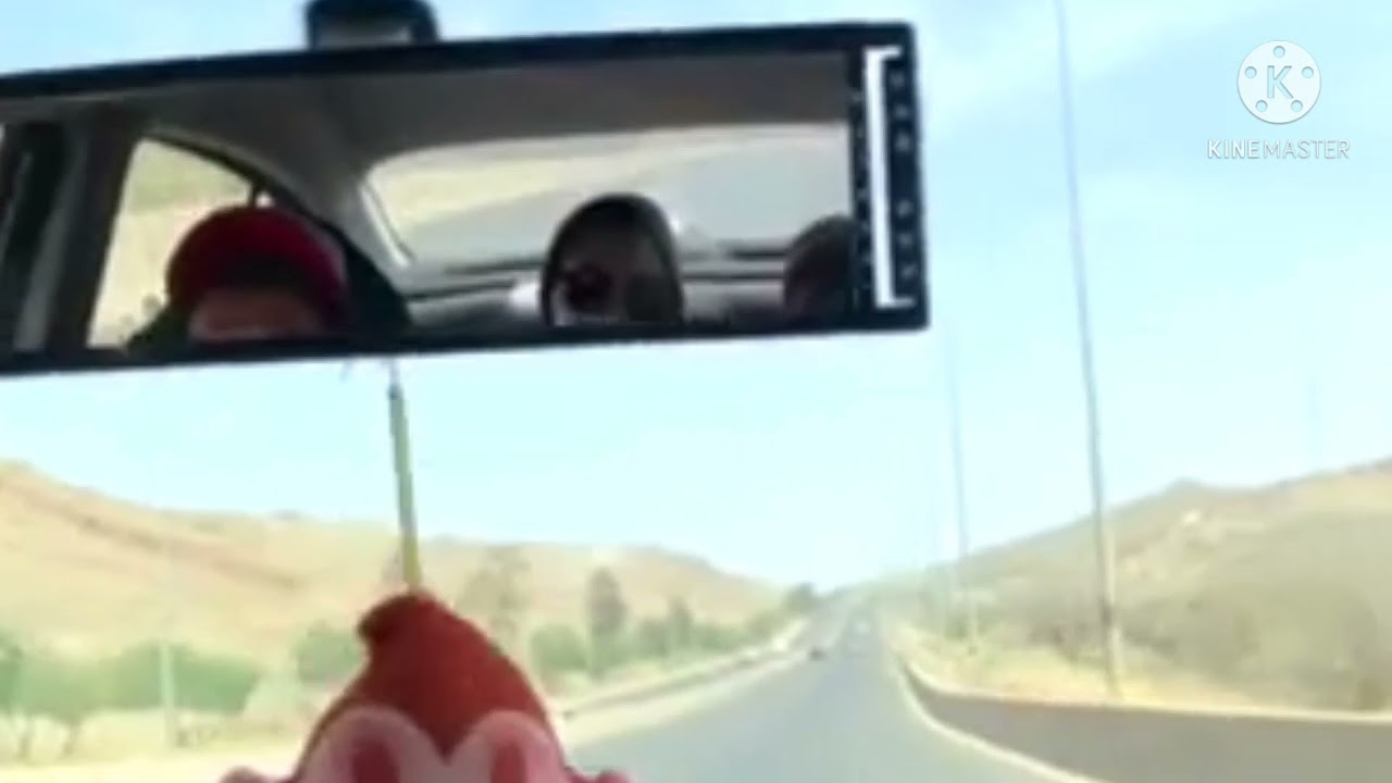 MONKEYS IN THE ROAD OF TAIF l 