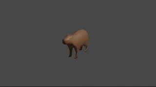 metal capybara spin 1 hour