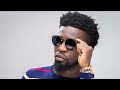 Bisa Kdei - Brother Brother (sped up)