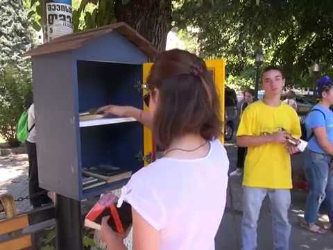 ბორჯომელმა მოხალისეებმა ქუჩის ბიბლიოთეკები განაახლეს