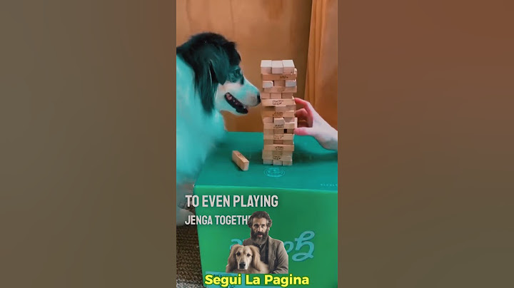 Uno dei cani più intelligenti di sempre 👏❤️ #viral