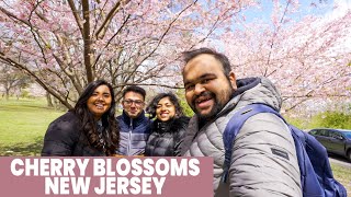 MEETING FRIENDS AFTER A LONG TIME CHERRY BLOSSOMS NJ