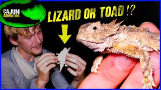 Horned Toad or Horned Lizard?.... Which is ACTUALLY Correct?