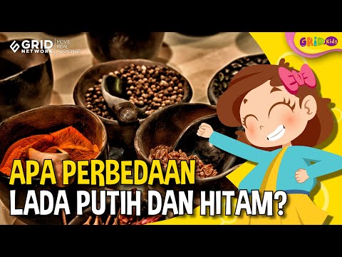 Video: Fakta Dan Penggunaan Lada Cubanelle: Pelajari Cara Menumbuhkan Tanaman Lada Cubanelle