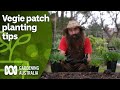 How to protect and pollinate your vegie patch  gardening hacks  gardening australia