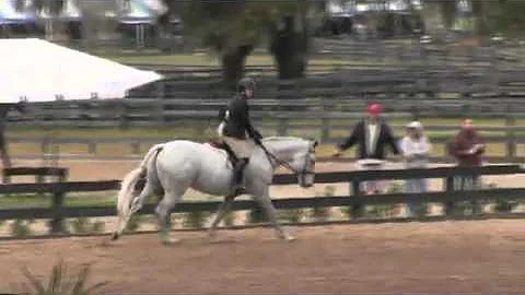 Video of promised hand ridden by Jennifer blacker ...