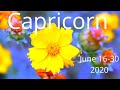 Capricorn, This Is Your Win || Psychic Empath Tarot Reading