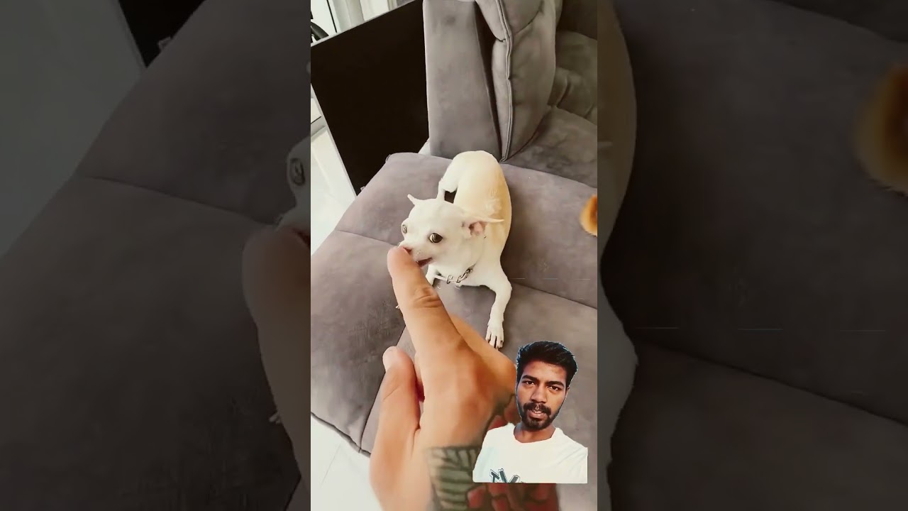 🛋️ Air Inflatable Sofa Couch Chair with Footstool for Indoor and Outdoor ￼ premium comfortable Fofa