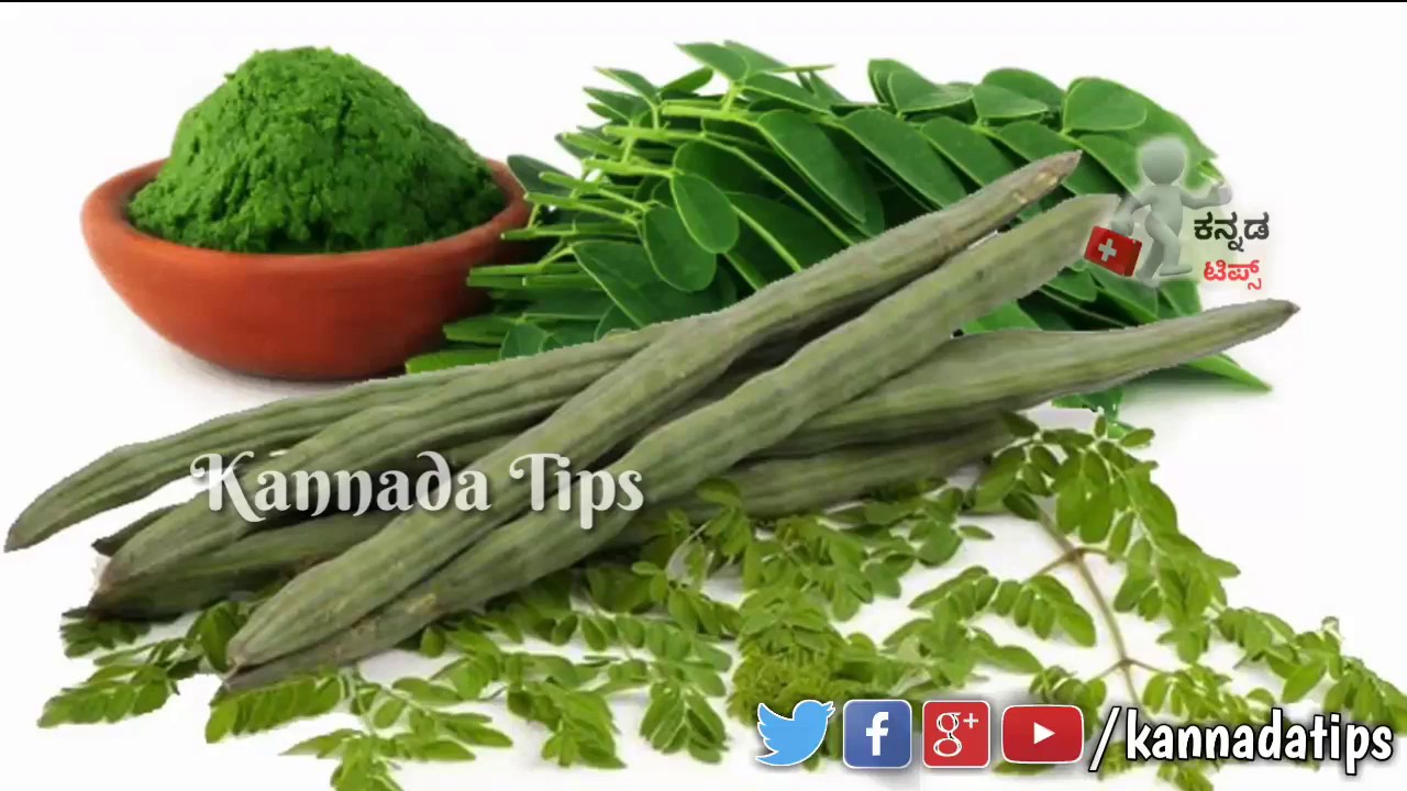 ನುಗ್ಗೆ ಸೊಪ್ಪು ಇದು ಹೀಗೂ ಉಪಯೋಗವಾಗುತ್ತೆ.! drumstick leaves