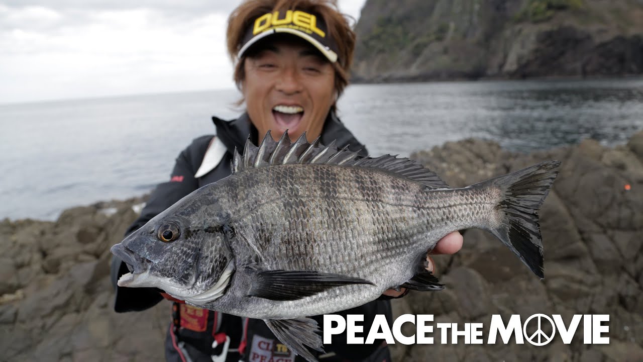 Peace The Movie 91 磯釣り人生始まりの地でチヌからまさかの 関西地方 京都府舞鶴の旅 後編 平和卓也 釣具の総合メーカー デュエル Peace The Movie 91 磯釣り人生始まりの地でチヌからまさかの 関西地方 京都府舞鶴の旅 後編 平和卓也 釣具の総合メーカー デュエル