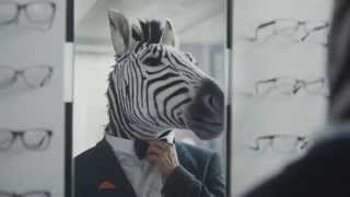 Synoptik Zebra - Råd Att Se Bra