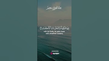 معاني عميقة في تلاوة هادئة | عبدالعزيز سحيم