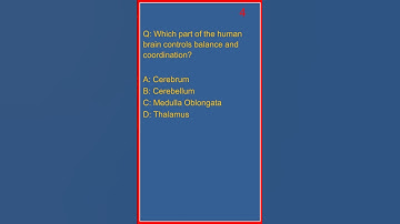 MCQ -Which part of the human brain controls balance and coordination?