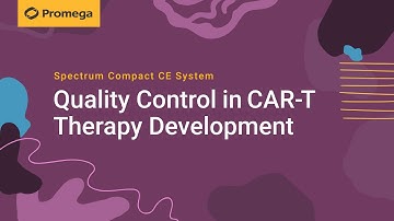 Quality Control in CAR-T Therapy Development