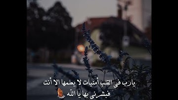 (قد أفلح من تزكى وذكر اسم ربه فصلى)القارئ عبد الرحمن مسعد ⚘