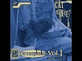 cat cancer - chronophobia VOL 1 (full album) (2022)