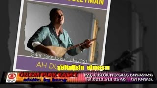 Peçenekli Süleyman - Şeftalisin Elmasın Resimi