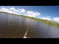 Topwater Muskie - Eagle Lake Ontario 2016