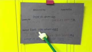 Spanish Adjective Agreement