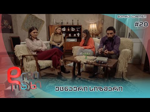 დიდი ოჯახი |  უცნაური სიზმარი  - სეზონი 2  სერია 20