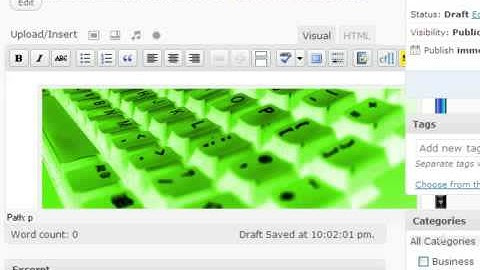 Webhead20: How to Insert Photos on WordPress v.2.7