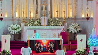 Mon 25 May: Mary , Mother of the Church