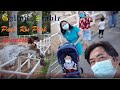 Vlog 043 gallop stable pasir ris park singapore