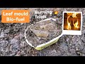 Bio fuel from leaf waste   make  burn  learn from this