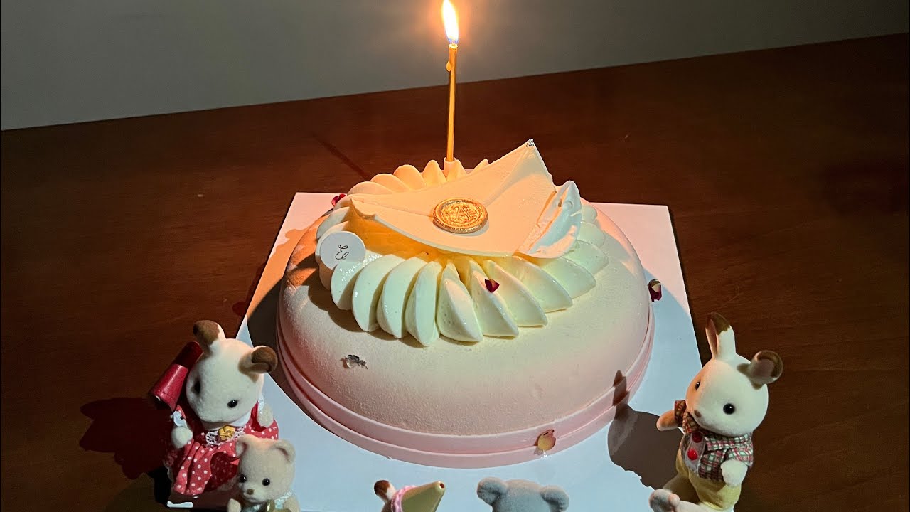 [BIRTHDAY VLOG 🎂] turning 20, txt pop up, outings with friends 