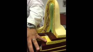 Villi from small intestine Model