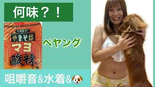 【早食い】ペヤング焼きそば何味？【咀嚼音】水着で犬と食べてみた