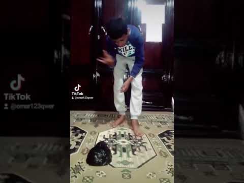 تيك توك شادي محمد 