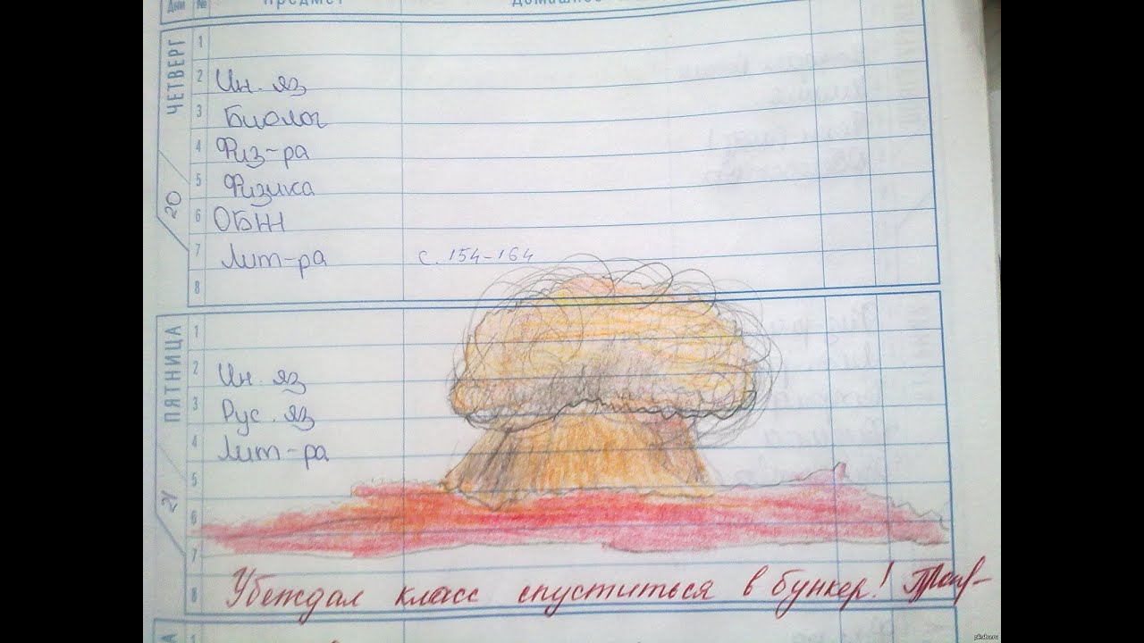 Что нарисовать в дневнике вместо фото ученика