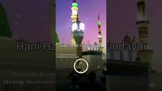 Gidebirisiniz Medine Vinevvere Gidin Resimi