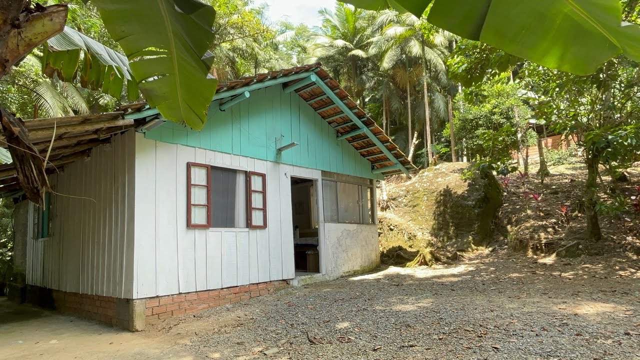 CASA SEM LUZ NO MEIO DO MATO - JANUÁRIO E ELIZETE DE SÃO BENTO