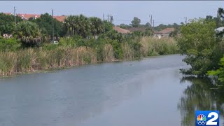 Active investigation after human skull found in NE Cape Coral by NBC2 News 149 views 2 hours ago 1 minute, 40 seconds