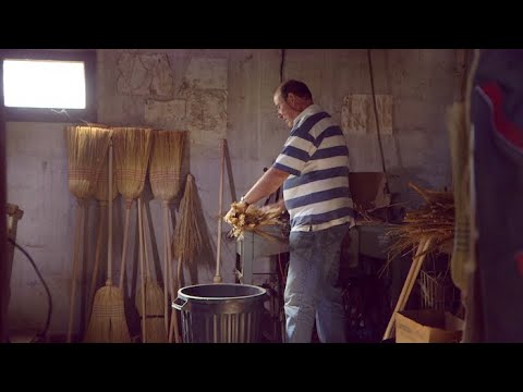 Vidéo: Qu'est-ce que le balai du boucher : comment utiliser l'usine de balai du boucher