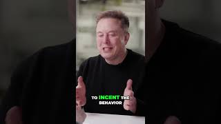 Elon Musk  What's Next For Civilization  Kardashev Scale Explained
