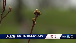 One year later: Pleasant Hill donates trees to residents after tornado destroyed tree canopy
